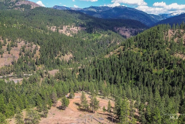 28 Hillman Basin Rd, New Meadows, ID 83654