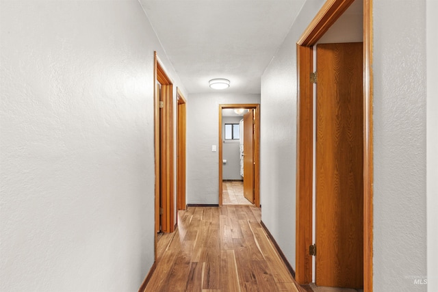 corridor with light wood-type flooring