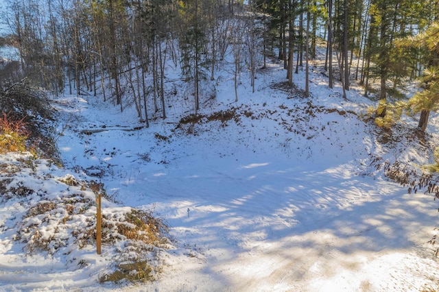 view of snow covered land