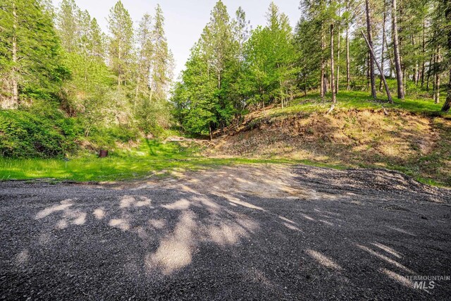 905 Dewey Ave, Orofino, ID 83544 - view of yard
