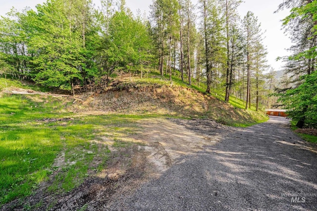 905 Dewey Ave, Orofino, ID 83544 - view of road featuring gravel driveway