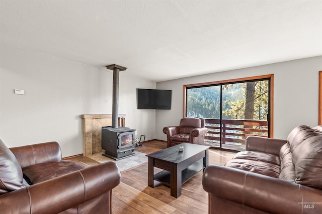 living room featuring light hardwood / wood-style floors and a wood stove