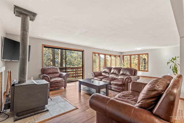 living room featuring light hardwood / wood-style floors and a wood stove