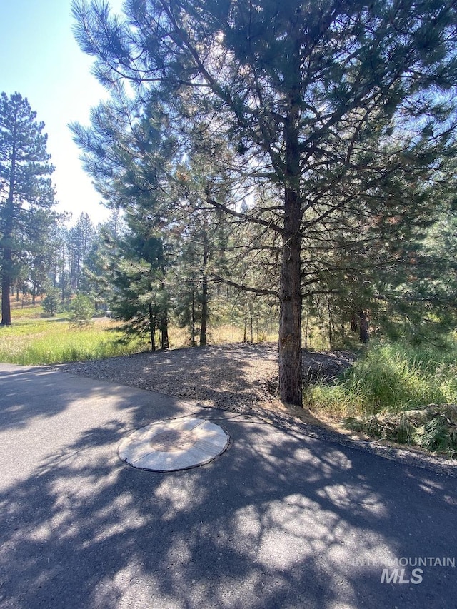 3955 Valley View Dr, New Meadows, ID 83654