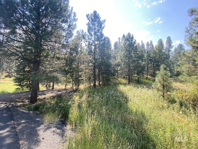 3955 Valley View Dr, New Meadows, ID 83654