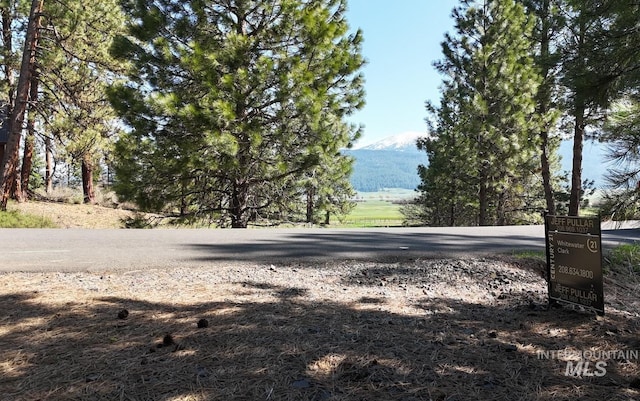 3955 Valley View Dr, New Meadows, ID 83654