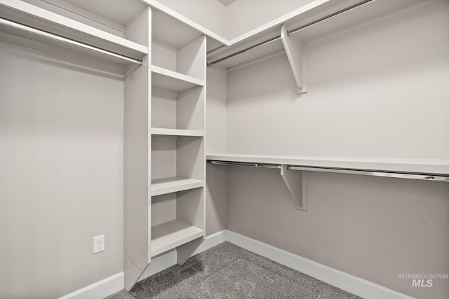 1457 Summerheights, Meridian, ID 83646 - spacious closet featuring dark carpet
