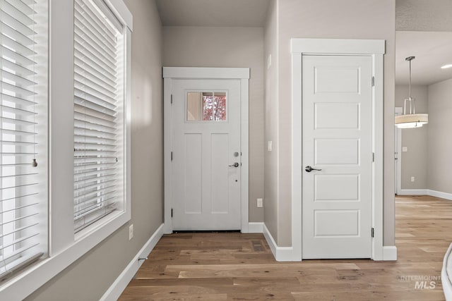 1457 Summerheights, Meridian, ID 83646 - foyer featuring baseboards, a healthy amount of sunlight, and light wood-style floors