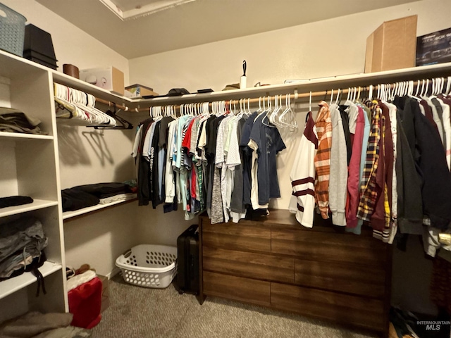 spacious closet with carpet