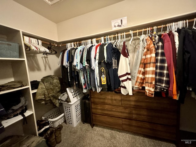 spacious closet featuring carpet