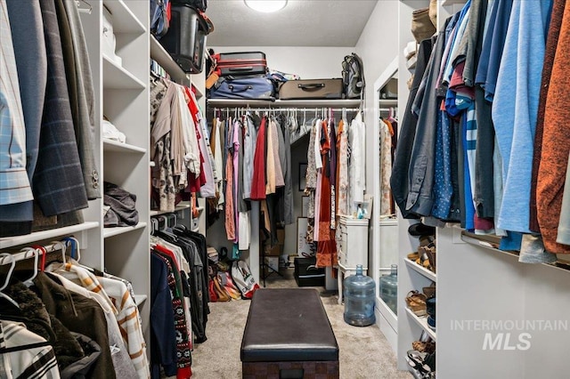 walk in closet with carpet flooring