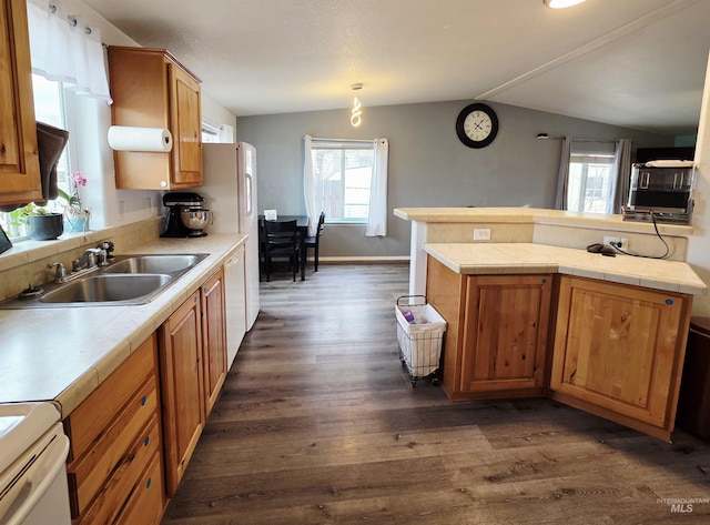 kitchen with dark wood-style flooring, brown cabinets, lofted ceiling, a sink, and white dishwasher