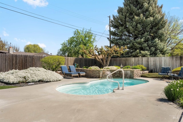 view of pool featuring a fenced in pool, a fenced backyard, and a patio area