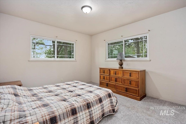 169W 200 N, Jerome, ID 83316 - bedroom with carpet
