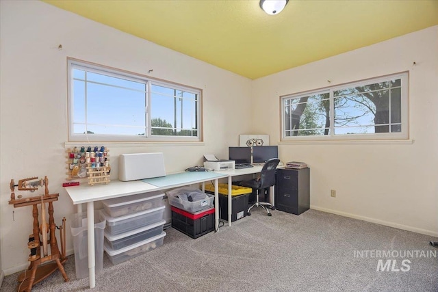 169W 200 N, Jerome, ID 83316 - carpeted office space featuring baseboards