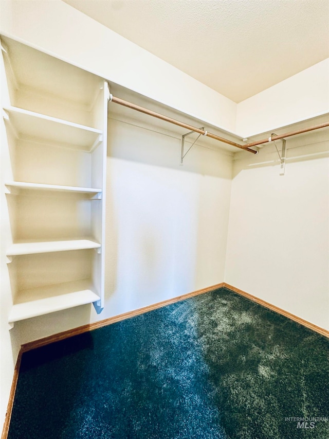 walk in closet featuring carpet floors