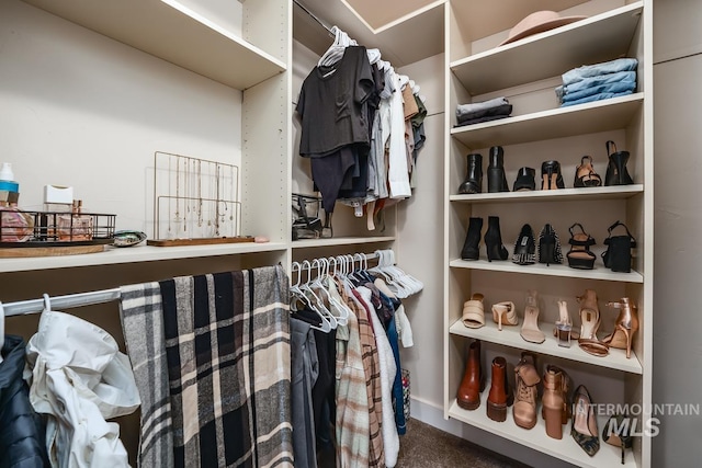 walk in closet featuring carpet floors