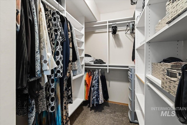 1902 E Birchwood Dr, Eagle, ID 83616 - spacious closet with carpet floors