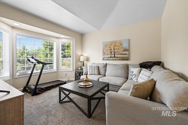 1902 E Birchwood Dr, Eagle, ID 83616 - living room with carpet flooring and lofted ceiling