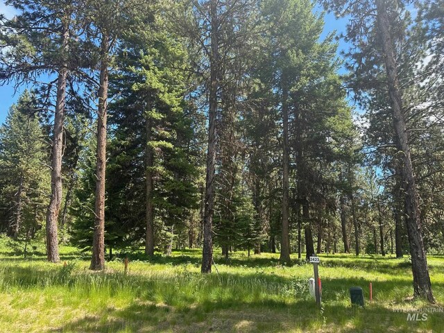 11 Vernon Ct, Mccall, ID 83638