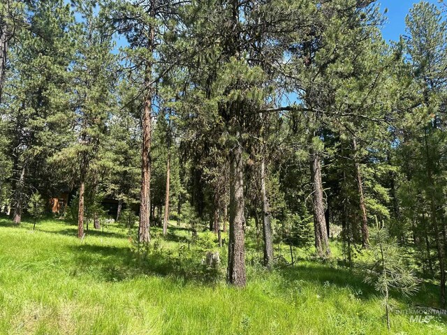 11 Vernon Ct, Mccall, ID 83638