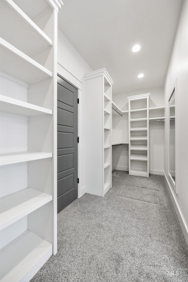 walk in closet with carpet flooring