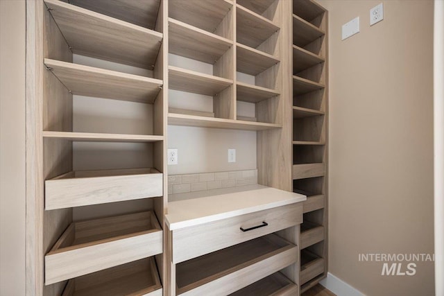 20042 N Swire Green Way Unit 459, Boise, ID 83714 - view of walk in closet