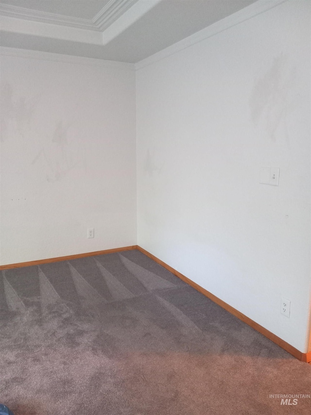 410 Cedar St, Middleton, ID 83644 - unfurnished room with carpet, baseboards, a raised ceiling, and crown molding
