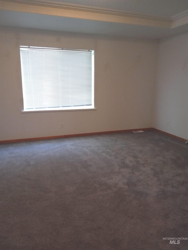 410 Cedar St, Middleton, ID 83644 - spare room with baseboards, crown molding, and carpet