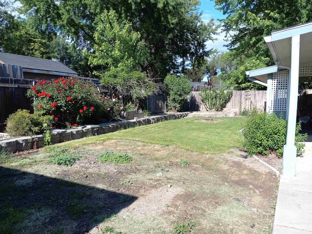 410 Cedar St, Middleton, ID 83644 - view of yard