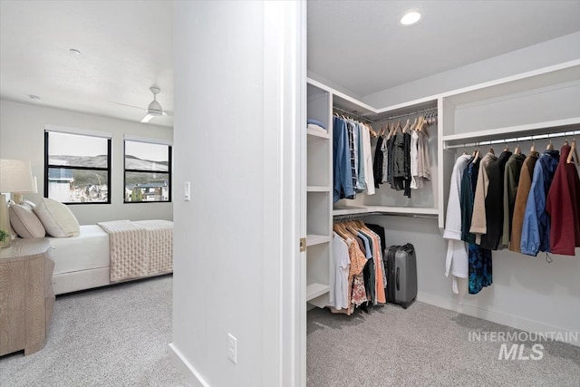 4184 E Haystack St Unit 206, Boise, ID 83716 - spacious closet featuring carpet floors