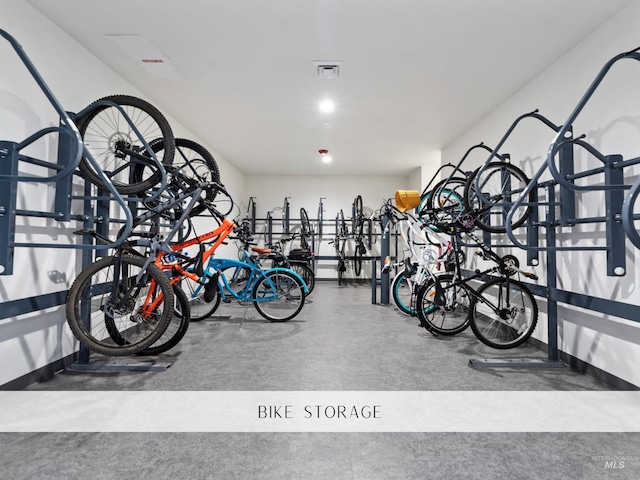 4184 E Haystack St Unit 206, Boise, ID 83716 - garage with bike storage