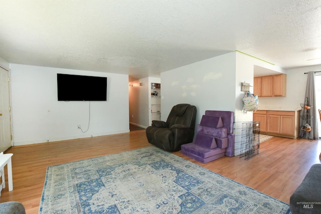 1765 W 6th St, Weiser, ID 83672 - living room with a textured ceiling, light wood-style flooring, and baseboards