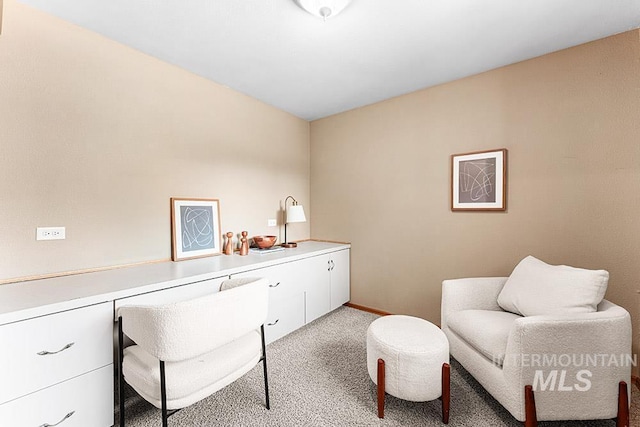9817 W Gurdon Ct, Boise, ID 83704 - office featuring light carpet