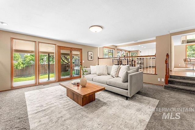 9817 W Gurdon Ct, Boise, ID 83704 - living area with carpet