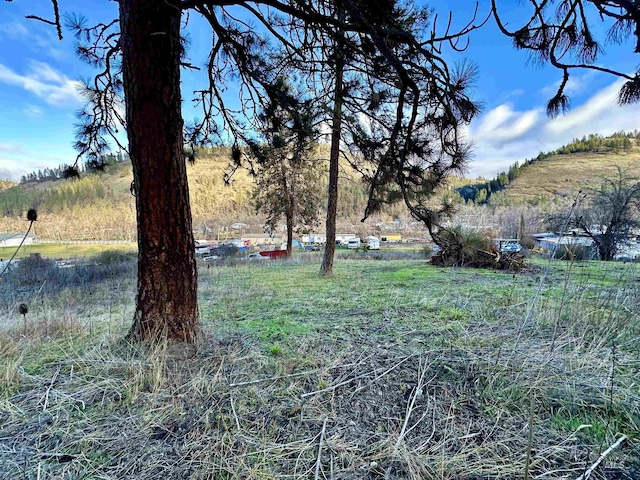 view of yard featuring a rural view