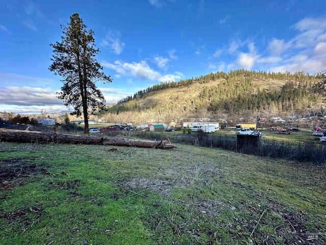 view of yard with a rural view