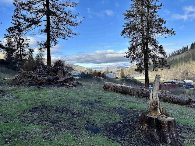 view of yard featuring a mountain view