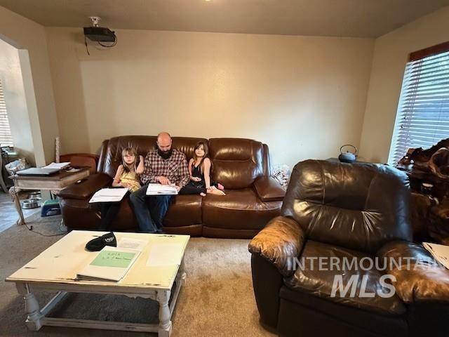 view of carpeted home theater