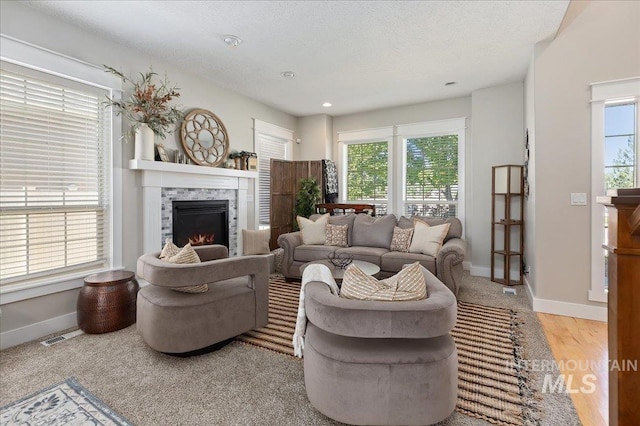 living room featuring light hardwood / wood-style flooring