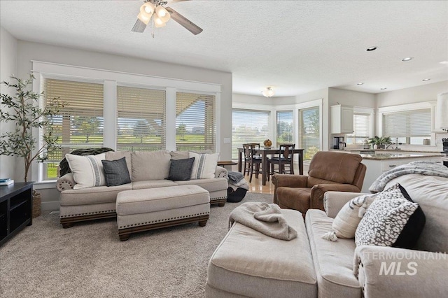 living room featuring ceiling fan, a healthy amount of sunlight, and a textured ceiling