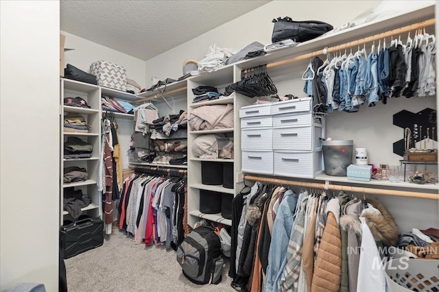 spacious closet featuring carpet floors