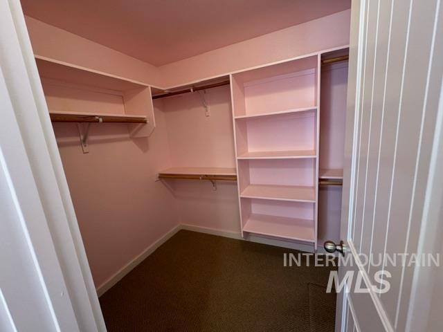 spacious closet featuring dark colored carpet