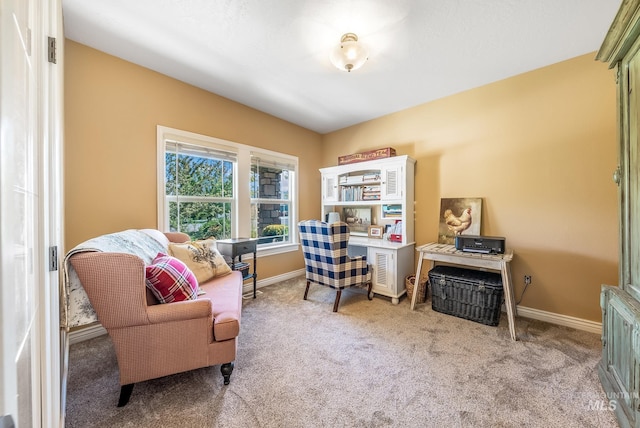 view of carpeted home office