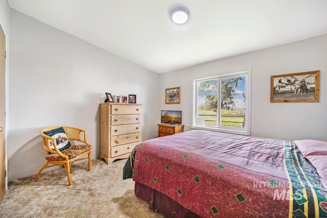 carpeted bedroom with lofted ceiling