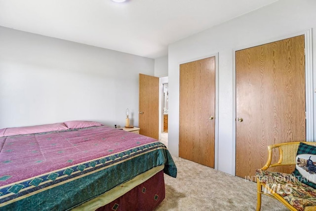 carpeted bedroom with two closets