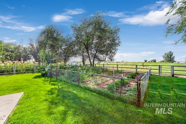 view of yard featuring a rural view