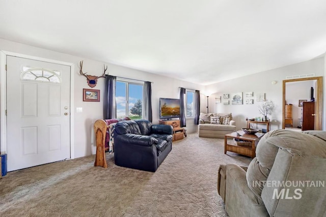 living room featuring light colored carpet