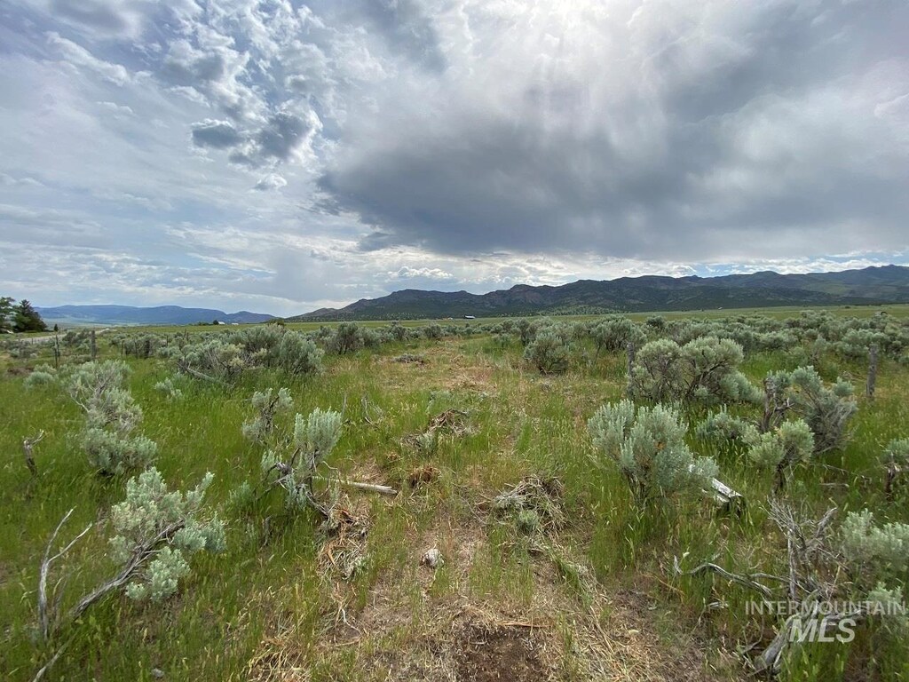 1977 S Elba Almo Rd, Elba, ID 83342