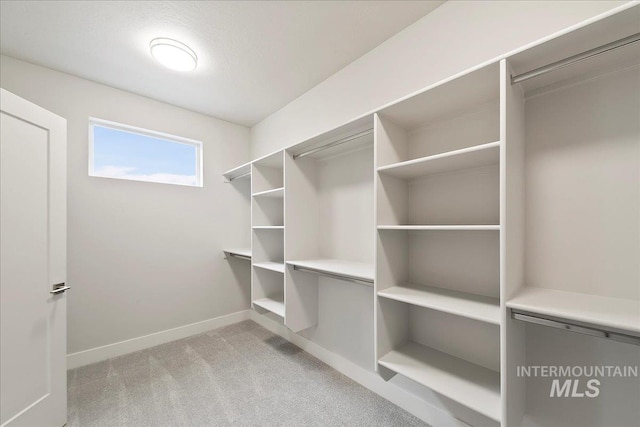 walk in closet featuring light carpet